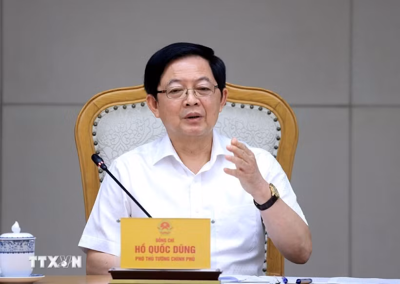 Phó Thủ tướng Hồ Quốc Dũng phát biểu. (Ảnh: Tuấn Anh/TTXVN)