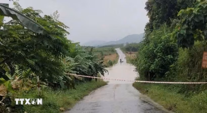 Ảnh minh họa. (Ảnh: TTXVN phát)