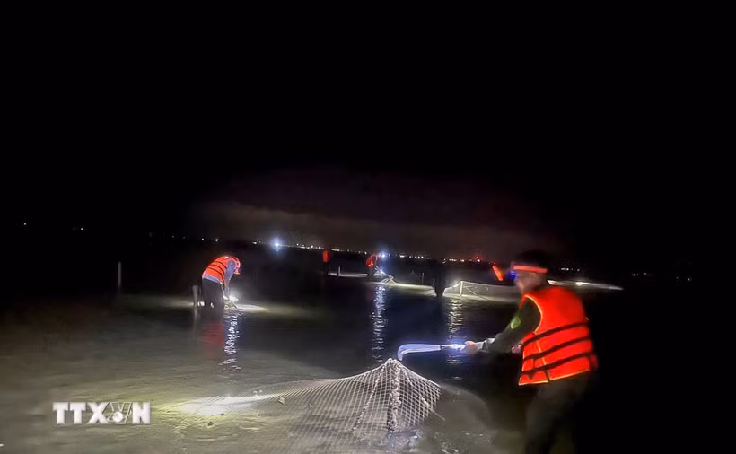Các lực lượng chức năng phường Móng Cái 3 đồng loạt ra quân thực hiện đợt cao điểm xử lý vi phạm nuôi trồng thủy sản, quyết tâm lập lại kỷ cương không gian biển. (Ảnh: TTXVN phát)