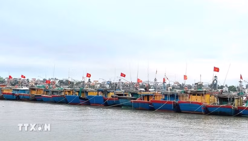 Quảng Trị còn hàng chục tàu cá chưa đủ điều kiện hoạt động, cùng những nguy cơ vi phạm trong quá trình khai thác trên biển. (Ảnh minh họa: Võ Dung/TTXVN)