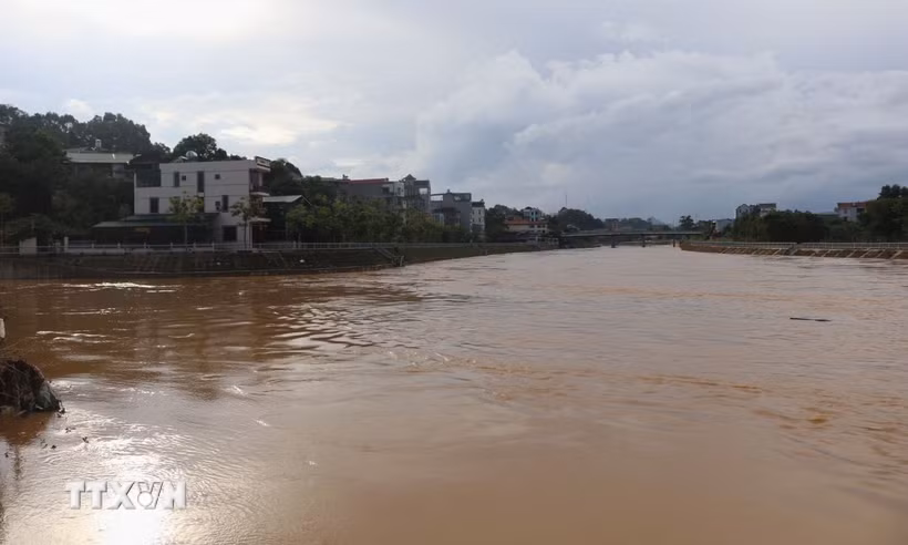 Ảnh minh họa. (Nguồn: TTXVN)