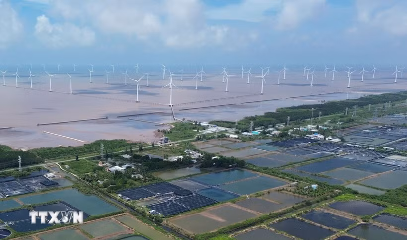 Dự án điện gió ngoài khơi ở xã Đông Hải, tỉnh Cà Mau. (Ảnh: Tuấn Phi/TTXVN)