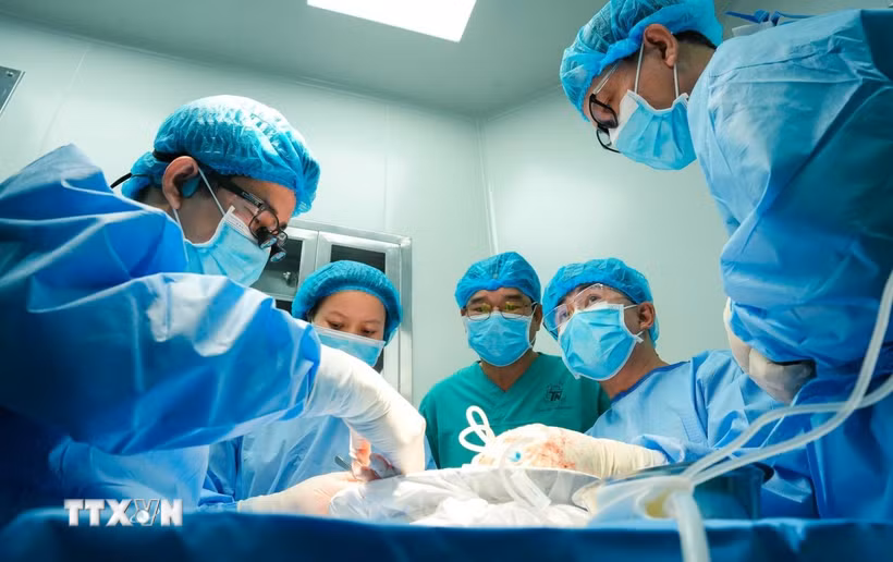 Các bác sỹ Bệnh viện Quân đội 108 (Hà Nội) và Bệnh viện Thống Nhất Thành phố Hồ Chí Minh ghép gan cho người bệnh. (Ảnh: TTXVN phát)