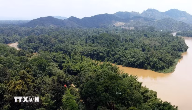 Khu cứu hộ linh trưởng tại Đảo Tiên (được bao quanh bởi sông Đồng Nai) thuộc Trung tâm Cứu hộ, Bảo tồn và Phát triển sinh vật, Vườn Quốc gia Cát Tiên, nơi đang chăm sóc, cứu hộ hàng chục cá thể linh trưởng nguy cấp. (Ảnh: Sỹ Tuyên/TTXVN)