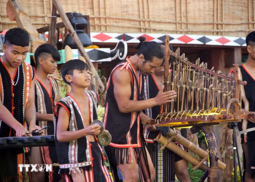 Hoạt động phục dựng lễ mừng nhà rông mới nằm trong khuôn khổ Tuần lễ Hoa dã quỳ-Núi lửa Chư Đang Ya và Festival Cồng chiêng Gia Lai (30/10-8/11). (Ảnh minh họa: Trịnh Bang Nhiệm/TTXVN)