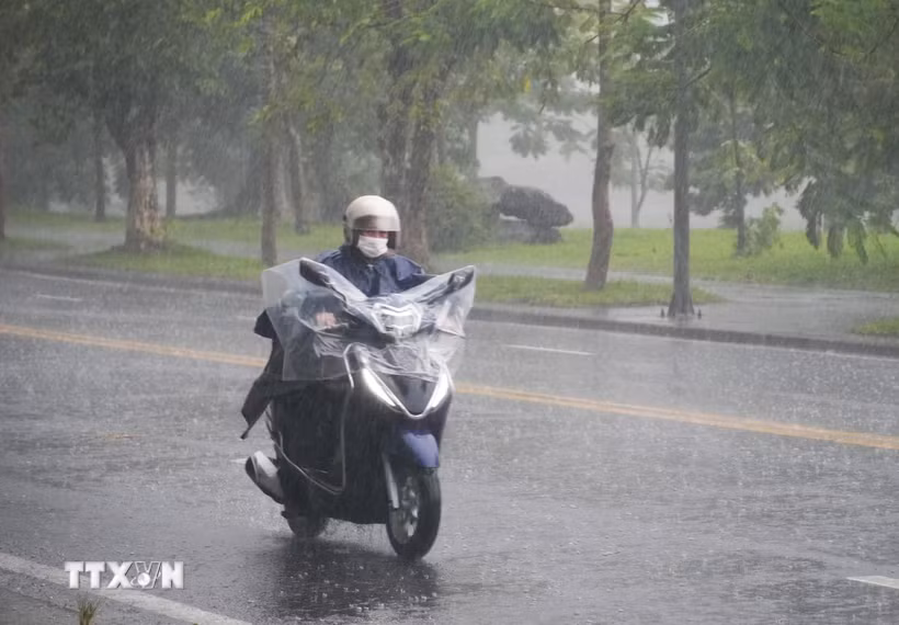 Khu vực từ Hà Tĩnh đến Đà Nẵng có mưa vừa, mưa to và dông. (Ảnh minh họa: Nguyên Lý/TTXVN)