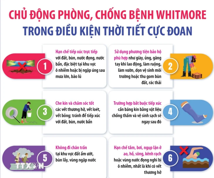 Chủ động phòng chống bệnh Whitmore trong thời tiết cực đoan