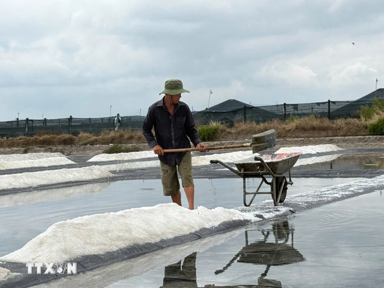 Nâng tầm giá trị hạt muối, gỗ khô cho điểm đến du lịch Việt Nam