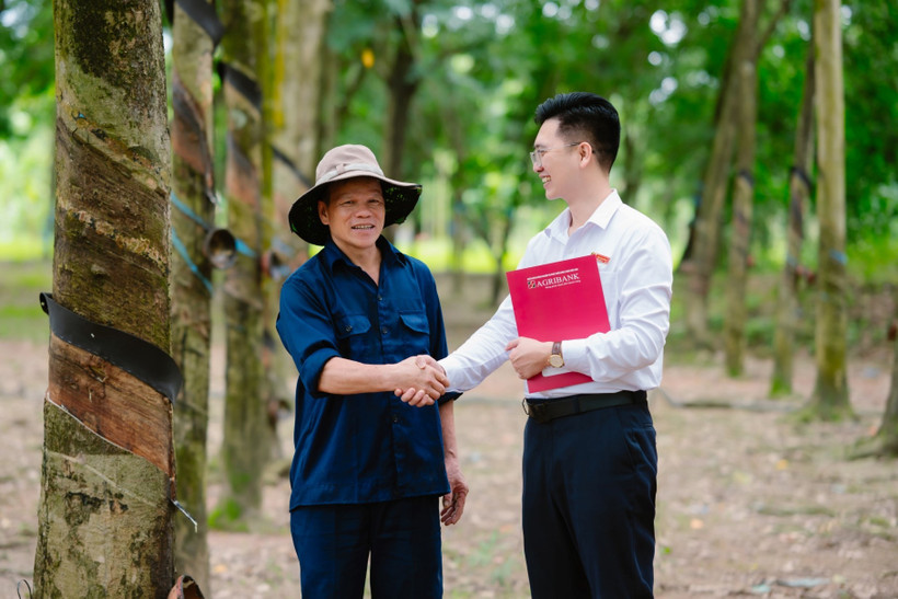 Agribank đồng hành cùng hộ kinh doanh chuyển đổi thành doanh nghiệp. (Ảnh: Vietnam+)