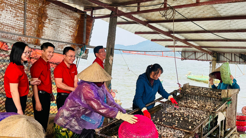Ngân hàng Nhà nước triển khai gói tín dụng 100.000 tỷ đồng cho lĩnh vực nông, lâm, thủy sản nhằm hỗ trợ sản xuất, giảm chi phí vốn cho người dân. (Ảnh: Vietnam+)