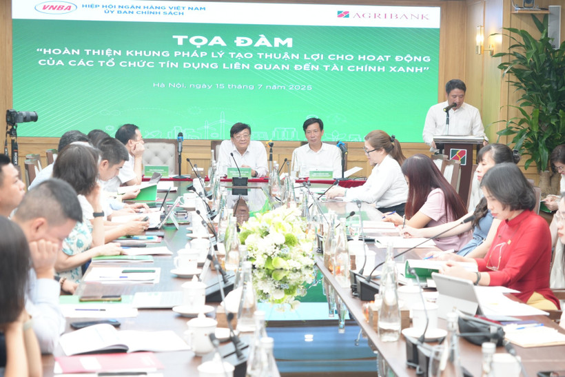 Đại diện các tổ chức tín dụng tham dự toạ đàm về tài chính xanh ngày 15/7/2025. (Ảnh: Vietnam+)