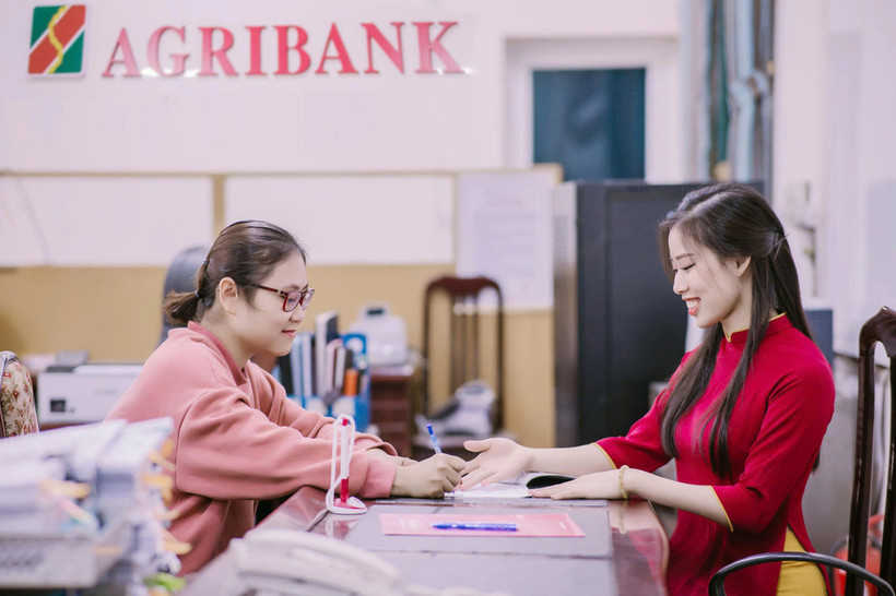 Agribank tung gói tín dụng ưu đãi 10.000 tỷ đồng giúp người trẻ dễ dàng tiếp cận nguồn vốn mua nhà ở. (Ảnh: Vietnam+)