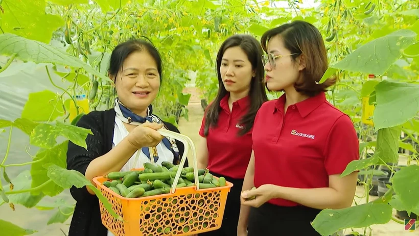 Agribank dành 50.000 tỷ đồng ưu đãi lãi suất tiếp sức hộ kinh doanh. (Ảnh: Vietnam+)
