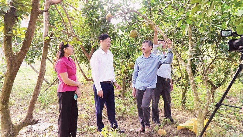 Mô hình vay vốn sản xuất giỏi ở xã Ba Bể, tỉnh Thái Nguyên. (Ảnh: Vietnam+)