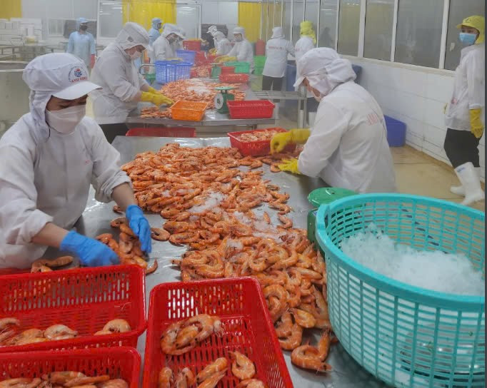 Standard Chartered dự báo kinh tế tăng trưởng tích cực. (Ảnh: Vietnam+)