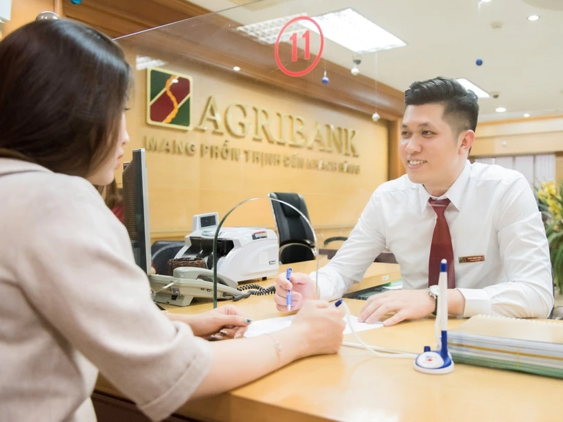 Agribank dành 30.000 tỷ đồng cho khách hàng cá nhân vay phục vụ đời sống. (Ảnh: Vietnam+)