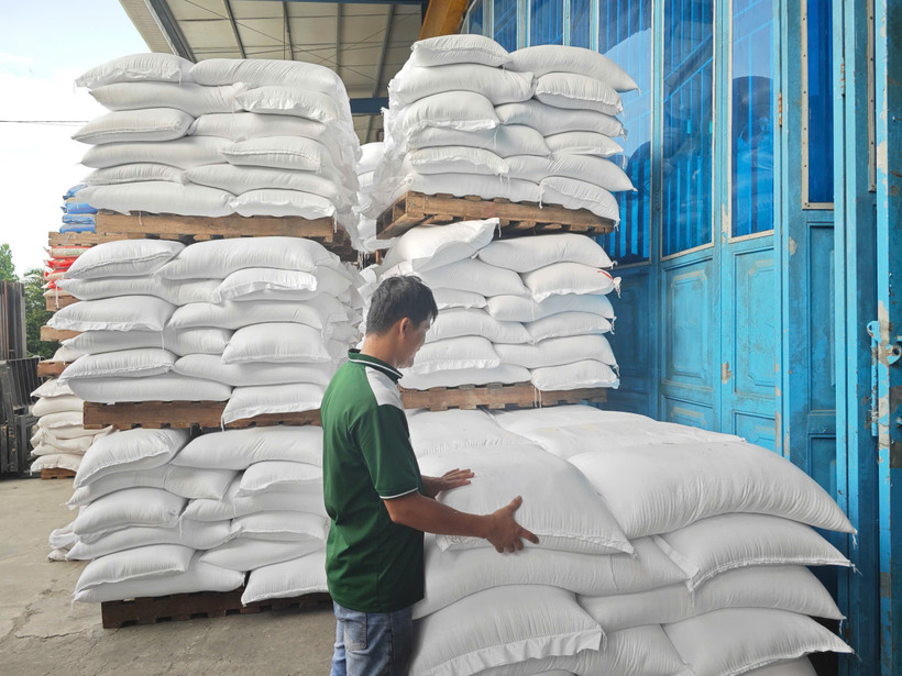 Yêu cầu ngân hàng cung ứng vốn phục vụ sản xuất, thu mua tạm trữ lúa gạo. (Ảnh: Vietnam+)