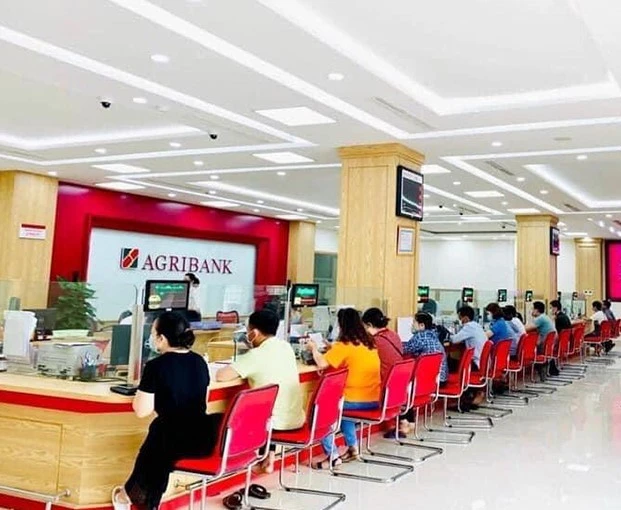 Dư nợ cho vay nền kinh tế của Agribank đạt 1,7 triệu tỷ đồng, tăng 11%. (Ảnh: Vietnam+)