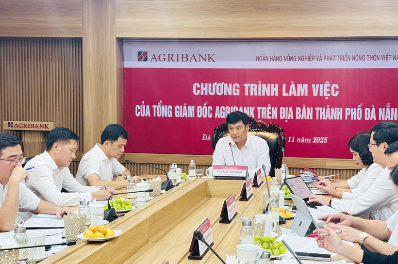 Tổng Giám đốc Agribank Phạm Toàn Vượng cùng đoàn công tác làm việc nắm bắt tình hình các đơn vị trên địa bàn thành phố Đà Nẵng. (Ảnh: Vietnam+)