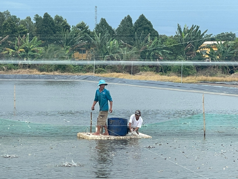Gói vay nông, lâm, thủy sản đạt 94% mục tiêu. (Ảnh: Vietnam+)