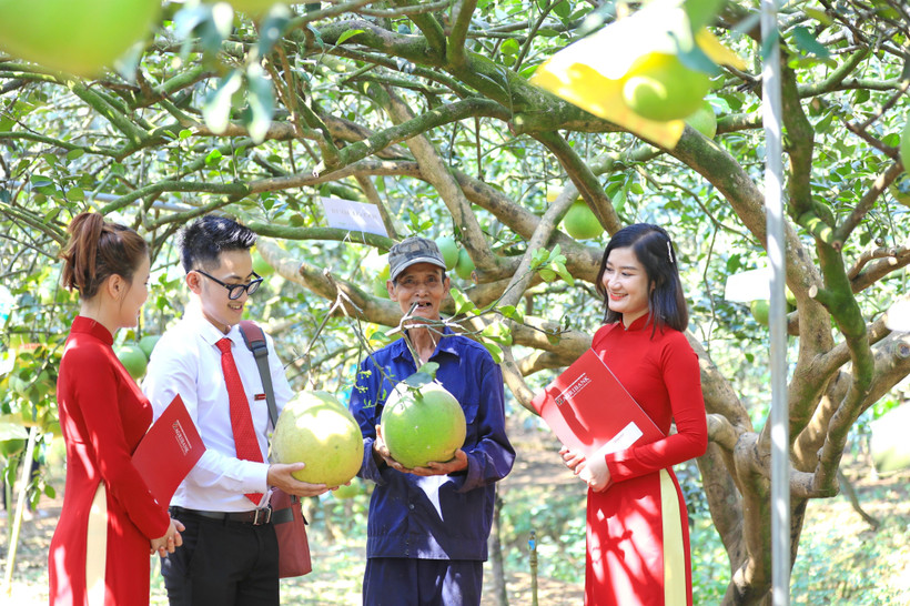 Agribank thúc đẩy phát triển bền vững với chương trình ưu đãi “xanh”. (Ảnh: Vietnam+)