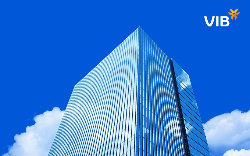 VIB 29 năm - hành trình sáng tạo, nâng tầm trải nghiệm cho triệu khách hàng Việt. (Ảnh: Vietnam+)