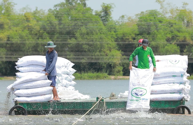 Agribank đã đăng ký triển khai chương trình tín dụng ưu đãi lĩnh vực nông, lâm, thủy sản quy mô 20.000 tỷ đồng. (Ảnh: Vietnam+)