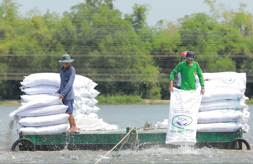 Agribank đã đăng ký triển khai chương trình tín dụng ưu đãi lĩnh vực nông, lâm, thủy sản quy mô 20.000 tỷ đồng. (Ảnh: Vietnam+)