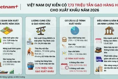 Nguồn cung gạo xuất khẩu năm 2026 dự kiến đạt 7,73 triệu tấn