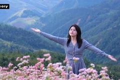 Tam giác mạch vào mùa, Hà Giang -Tuyên Quang trở thành điểm check-in hút khách