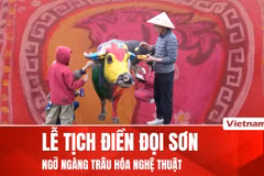 Trâu Việt Nam hóa tác phẩm nghệ thuật tại Lễ hội Tịch điền Ninh Bình 