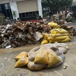 Nhiều hộ kinh doanh tại miền Trung hầu như mất trắng do kho chứa hàng bị ngập sâu. (Nguồn: Vietnam+)