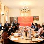 Phó Thủ tướng Nguyễn Chí Dũng làm việc với các thành viên của Mạng lưới Đổi mới sáng tạo Việt Nam cùng các chuyên gia, trí thức người Việt tại Đức và châu Âu. (Ảnh: NIC/ Vietnam+)