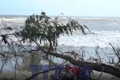 Sạt lở có thể “nuốt chửng” bãi biển Mỹ Khê