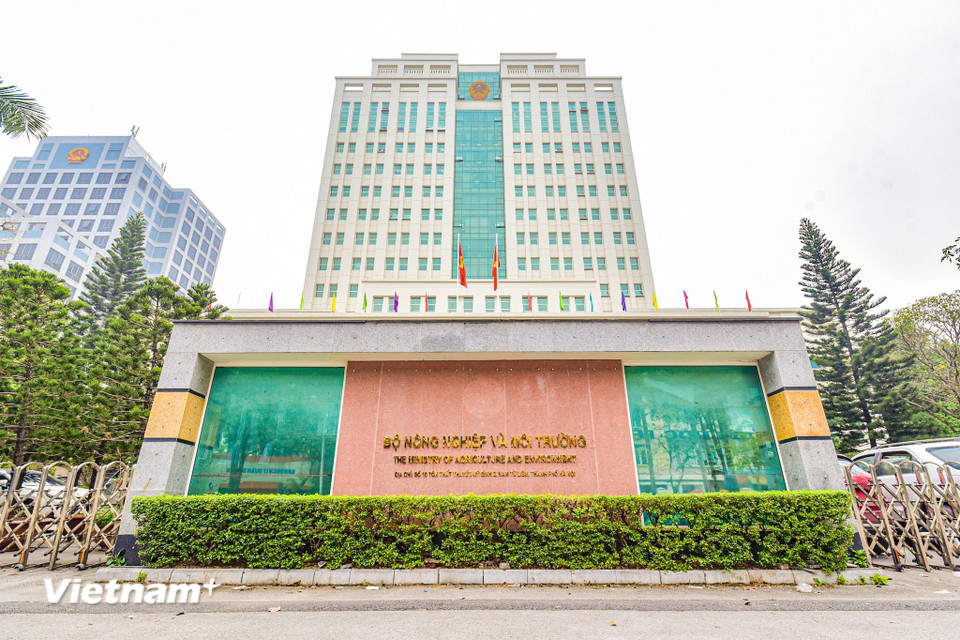 Bộ Nông nghiệp và Môi trường có trụ sở chính tại số 10 Tôn Thất Thuyết, quận Nam Từ Liêm, Hà Nội. Bộ có 30 đơn vị, trong đó có 26 đơn vị hành chính giúp Bộ trưởng thực hiện chức năng quản lý nhà nước. Bộ trưởng Bộ Nông nghiệp và Môi trường là ông Đỗ Đức Duy. (Ảnh: Minh Sơn/Vietnam+)