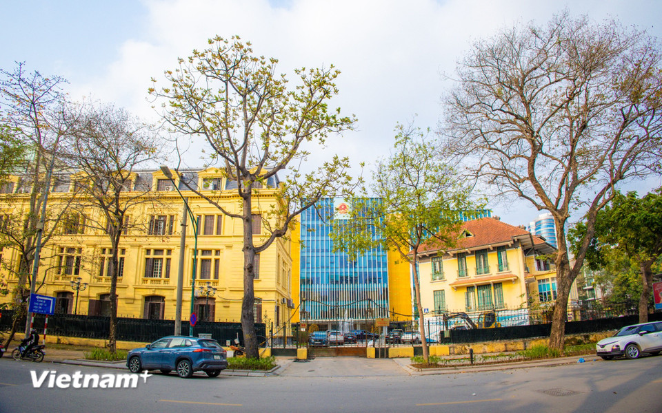 Ban lãnh đạo Bộ Xây dựng gồm Bộ trưởng Trần Hồng Minh và 8 Thứ trưởng. (Ảnh: Minh Sơn/Vietnam+)