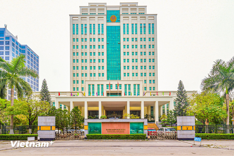 Bộ Nông nghiệp và Môi trường được thành lập trên cơ sở hợp nhất Bộ Nông nghiệp và Phát triển nông thôn với Bộ Tài nguyên và Môi trường. Đồng thời, Bộ tiếp nhận thêm nhiệm vụ giảm nghèo từ Bộ Lao động, Thương binh và Xã hội. (Ảnh: Minh Sơn/Vietnam+)