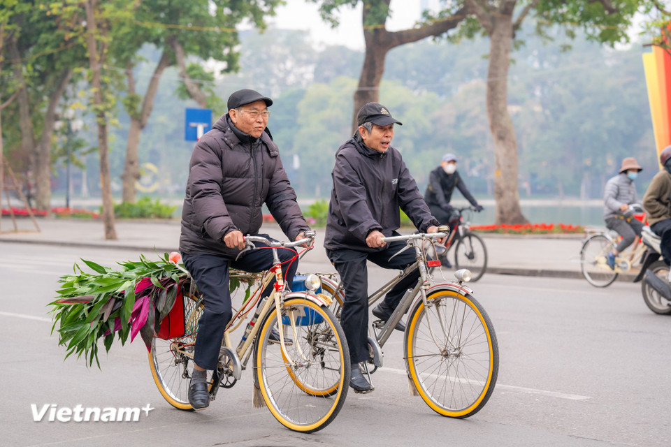 Nhiều người dân tranh thủ dậy sớm đi chọn mua cho mình một cành hoa, cành lộc để cầu mong năm mới bình yên, may mắn. (Ảnh: Minh Sơn/Vietnam+)