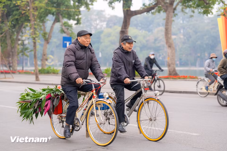Nhiều người dân tranh thủ dậy sớm đi chọn mua cho mình một cành hoa, cành lộc để cầu mong năm mới bình yên, may mắn. (Ảnh: Minh Sơn/Vietnam+)