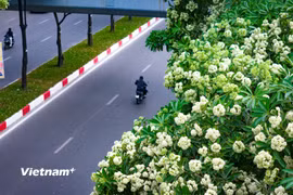 (Ảnh minh họa: Vietnam+)