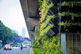Quản lý môi trường chủ động, kịp thời dựa trên bằng chứng khoa học. (Ảnh: Hoài Nam/Vietnam+)