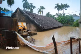 Hà Nội: Lũ sông Bùi dâng cao, nhiều khu vực chìm trong biển nước, cuộc sống người dân đảo lộn