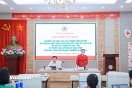 Bà Đỗ Thị Thu Thảo, Chủ tịch Trung ương Hội Chữ thập đỏ Việt Nam phát biểu bế mạc Hội nghị toàn quốc nghiên cứu, học tập, quán triệt Nghị quyết Đại hội XII và triển khai Chương trình hành động. (Ảnh: Hoài Nam/Vietnam+)