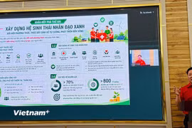 Ông Nguyễn Sỹ Trường, Phó Chủ tịch Hội Chữ thập đỏ Việt Nam trình bày chuyên đề "Những nhiệm vụ trọng tâm và ba khâu đột phá thực hiện Nghị quyết Đại hội XII". (Ảnh: Trần Hương Sơn/Vietnam+)