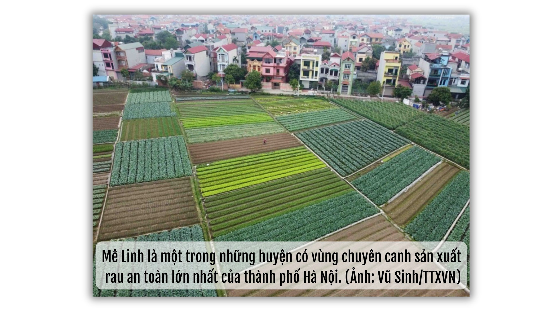 ฮานอยดอทพีเอชเอ2.png