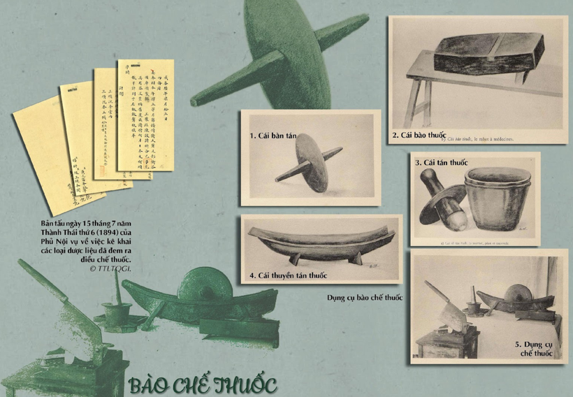 Y dược triều Nguyễn qua góc nhìn từ tài liệu lưu trữ quốc gia