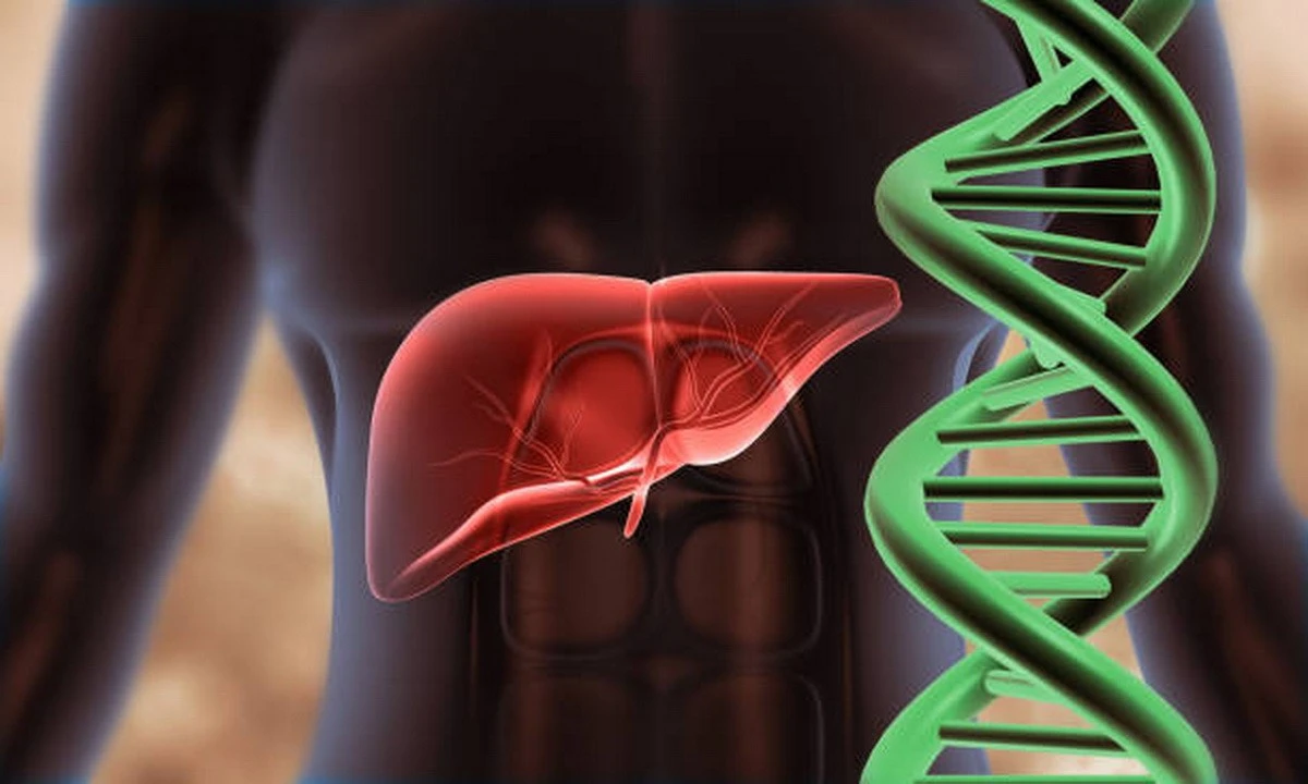 Lần đầu lập bản đồ gene gần người hé lộ cơ chế bệnh gan nhiễm mỡ