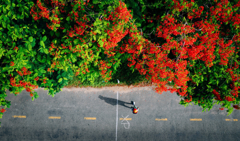 Các đơn vị lữ hành cho biết xu hướng nghỉ lễ 30/4 du khách ưu tiên các điểm đến gần. (Ảnh minh họa: Vương Nam/Vietnam+)