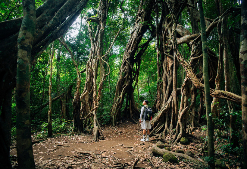 Tour du lịch mạo hiểm sẽ cần đảm bảo tuân thủ bộ tiêu chuẩn quốc gia. (Ảnh minh họa: Vương Công Nam/Vietnam+)