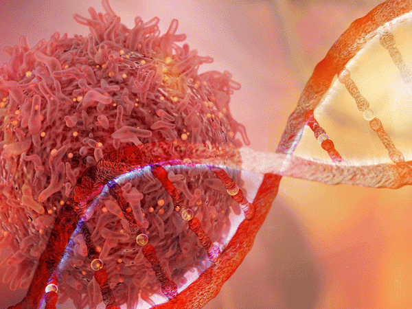 Merck và AstraZeneca hợp tác bào chế các thuốc điều trị ung thư ảnh 1